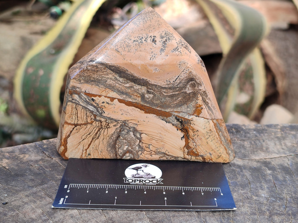 Polished Picture Stone Jasper Points x 3 From Ais-Ais, Namibia - Toprock Gemstones and Minerals 