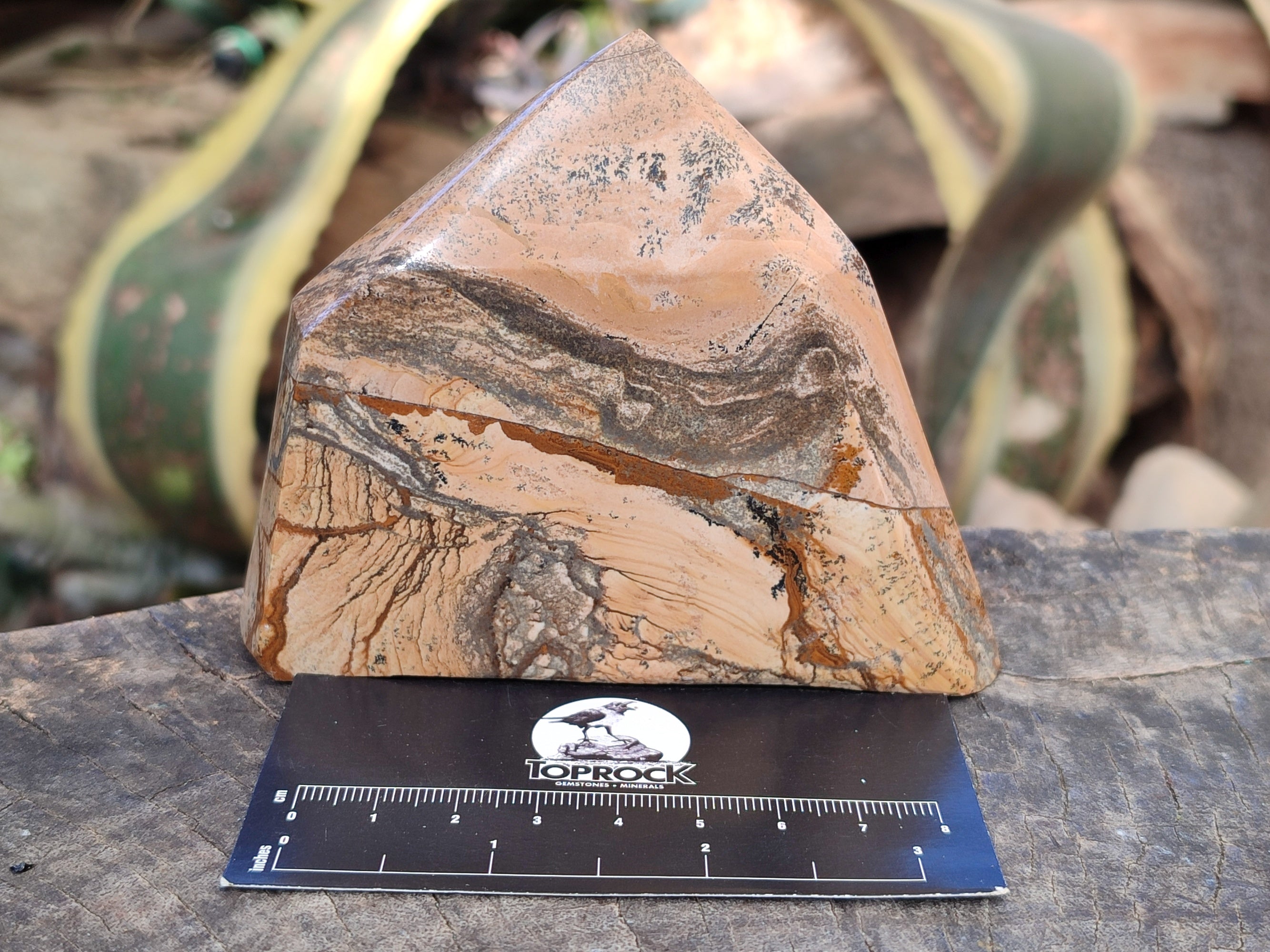 Polished Picture Stone Jasper Points x 3 From Ais-Ais, Namibia - Toprock Gemstones and Minerals 