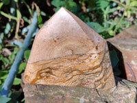 Polished Picture Stone Jasper Points x 3 From Ais-Ais, Namibia - Toprock Gemstones and Minerals 