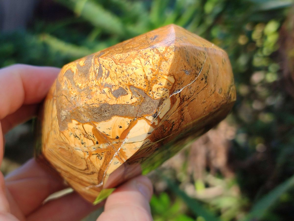 Polished Picture Stone Jasper Points x 3 From Ais-Ais, Namibia - Toprock Gemstones and Minerals 