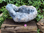 Natural Extra Large Celestite Geode Specimen x 1 From Sakoany, Madagascar - Toprock Gemstones and Minerals 