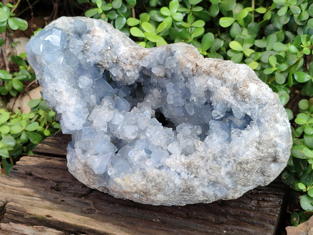 Natural Extra Large Celestite Geode Specimen x 1 From Sakoany, Madagascar - Toprock Gemstones and Minerals 