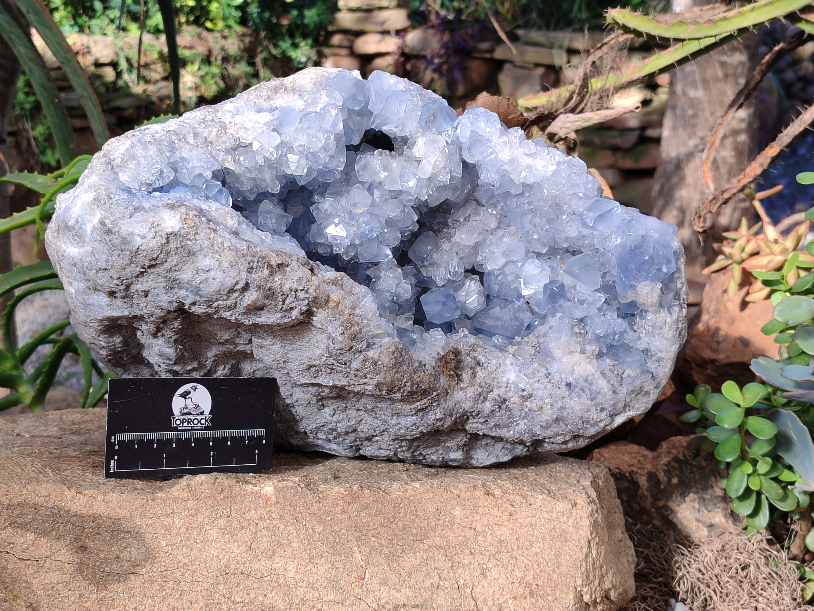 Natural Extra Large Celestite Geode Specimen x 1 From Sakoany, Madagascar - Toprock Gemstones and Minerals 