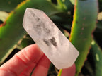 Polished Clear Quartz Crystals x 6 From Madagascar - Toprock Gemstones and Minerals 