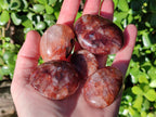 Polished Red Hematoid Quartz Palm Stones x 21 From Madagascar - Toprock Gemstones and Minerals 