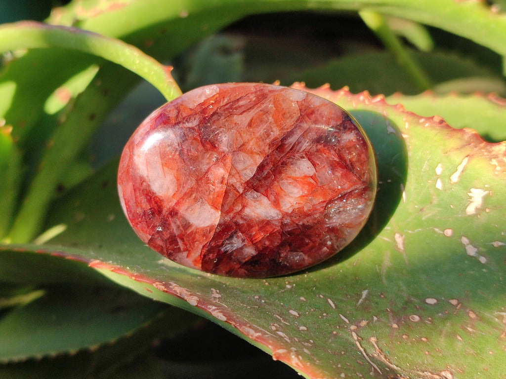 Polished Red Hematoid Quartz Palm Stones x 21 From Madagascar - Toprock Gemstones and Minerals 