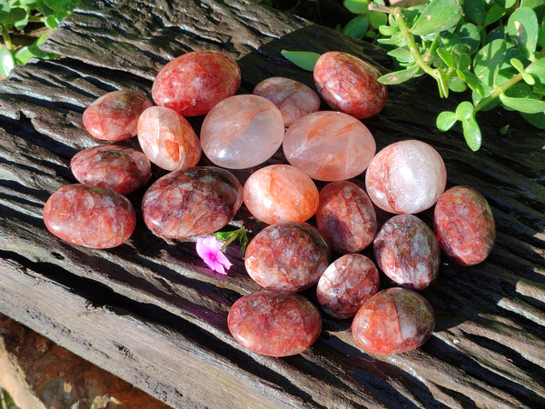 Polished Red Hematoid Quartz Palm Stones x 21 From Madagascar - Toprock Gemstones and Minerals 