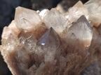 Natural Smokey Phantom Quartz Cluster x 2 From Luena, Congo - Toprock Gemstones and Minerals 