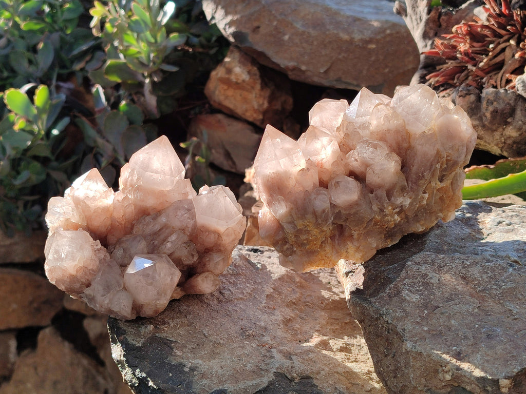 Natural Smokey Phantom Quartz Cluster x 2 From Luena, Congo - Toprock Gemstones and Minerals 