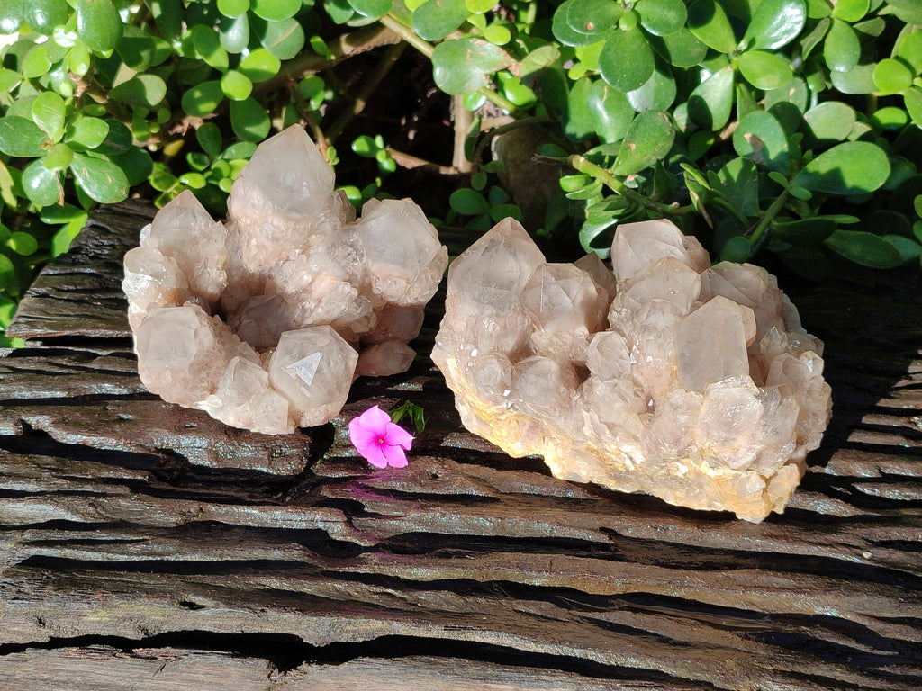 Natural Smokey Phantom Quartz Cluster x 2 From Luena, Congo - Toprock Gemstones and Minerals 