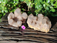 Natural Smokey Phantom Quartz Cluster x 2 From Luena, Congo