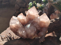 Natural Smokey Phantom Quartz Cluster x 2 From Luena, Congo