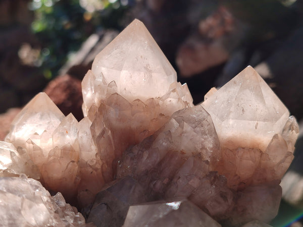 Natural Smokey Phantom Quartz Cluster x 2 From Luena, Congo