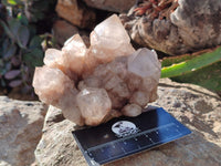 Natural Smokey Phantom Quartz Cluster x 2 From Luena, Congo