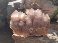 Natural Smokey Phantom Quartz Cluster x 2 From Luena, Congo