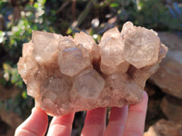 Natural Smokey Phantom Quartz Cluster x 2 From Luena, Congo