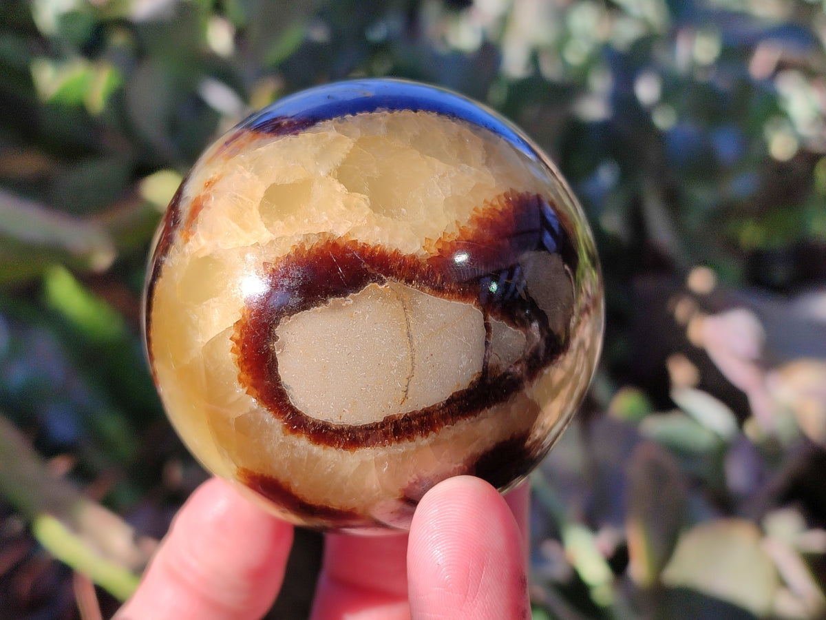 Polished Fossilized Septerye Spheres x 6 From Mahajanga, Madagascar - Toprock Gemstones and Minerals 