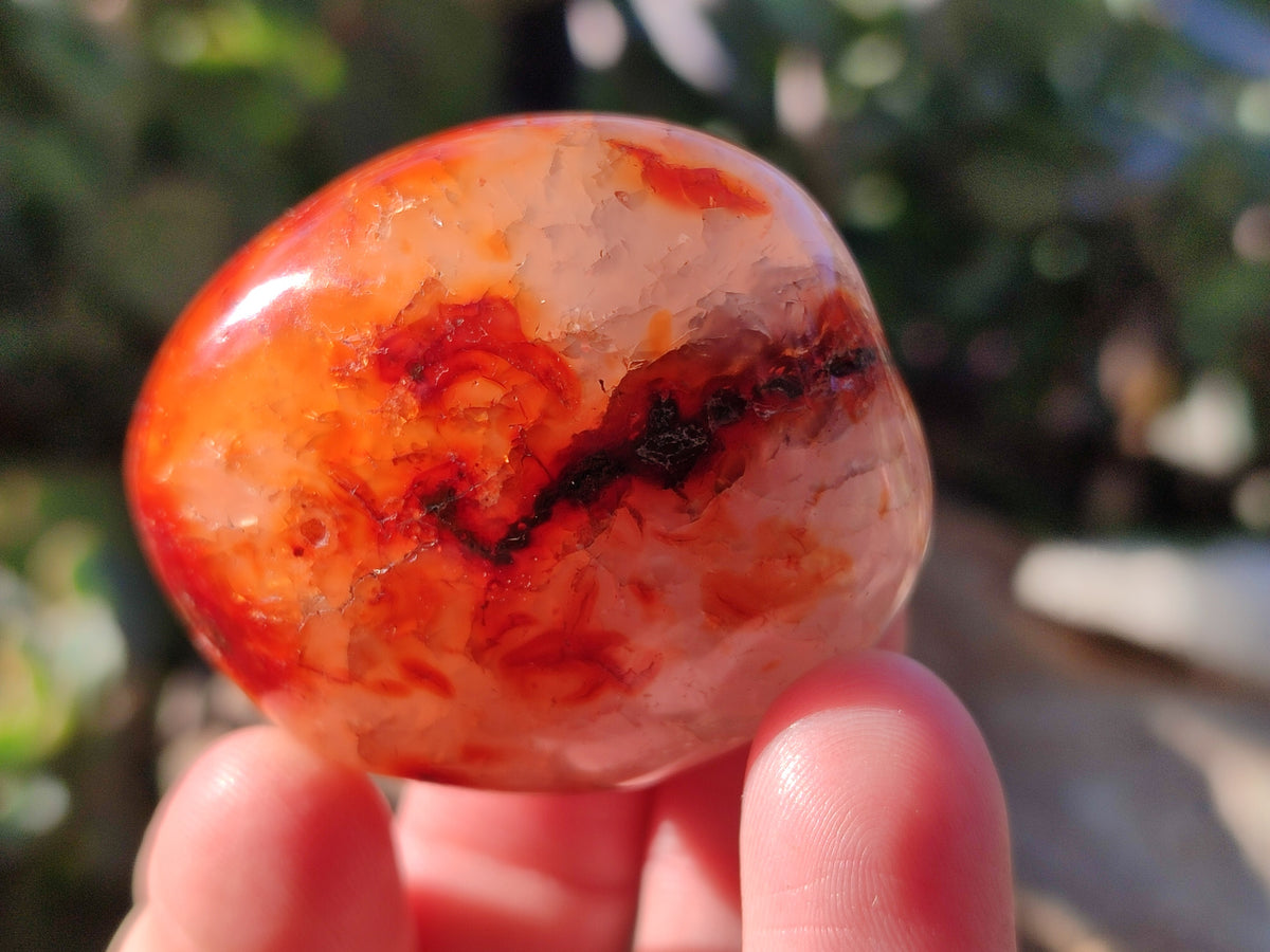 Polished Carnelian Agate Palm Stones x 26 From Madagascar - Toprock Gemstones and Minerals 