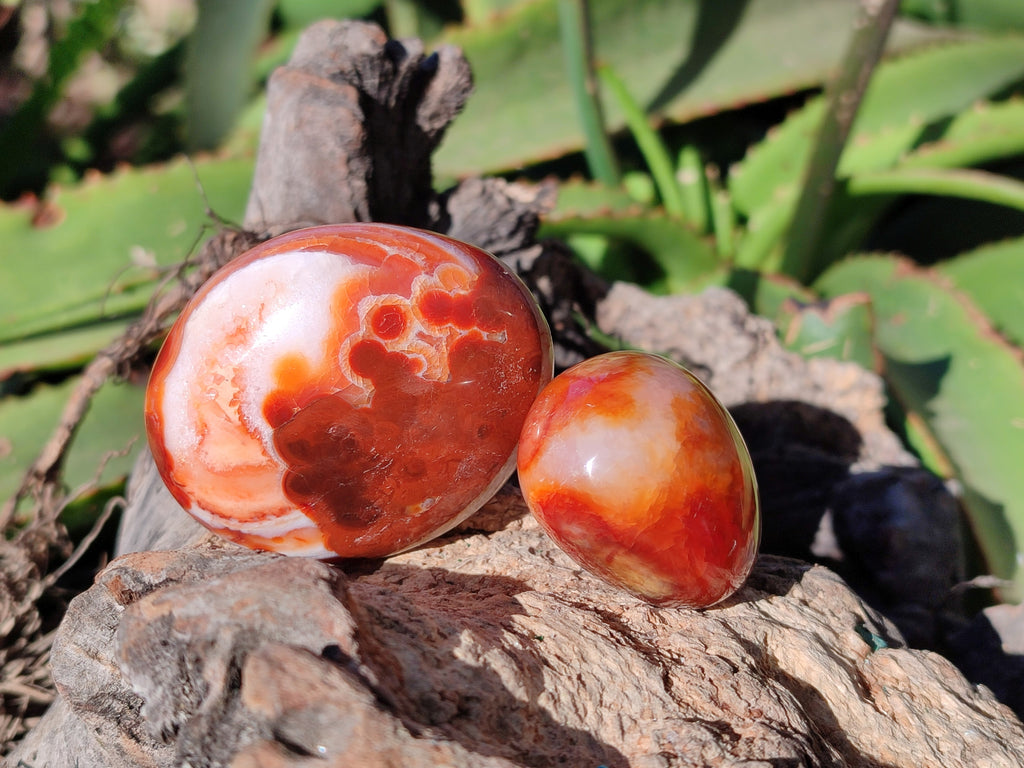 Polished Carnelian Agate Palm Stones x 26 From Madagascar - Toprock Gemstones and Minerals 