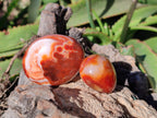 Polished Carnelian Agate Palm Stones x 26 From Madagascar - Toprock Gemstones and Minerals 