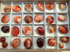 Polished Carnelian Agate Palm Stones x 26 From Madagascar - Toprock Gemstones and Minerals 