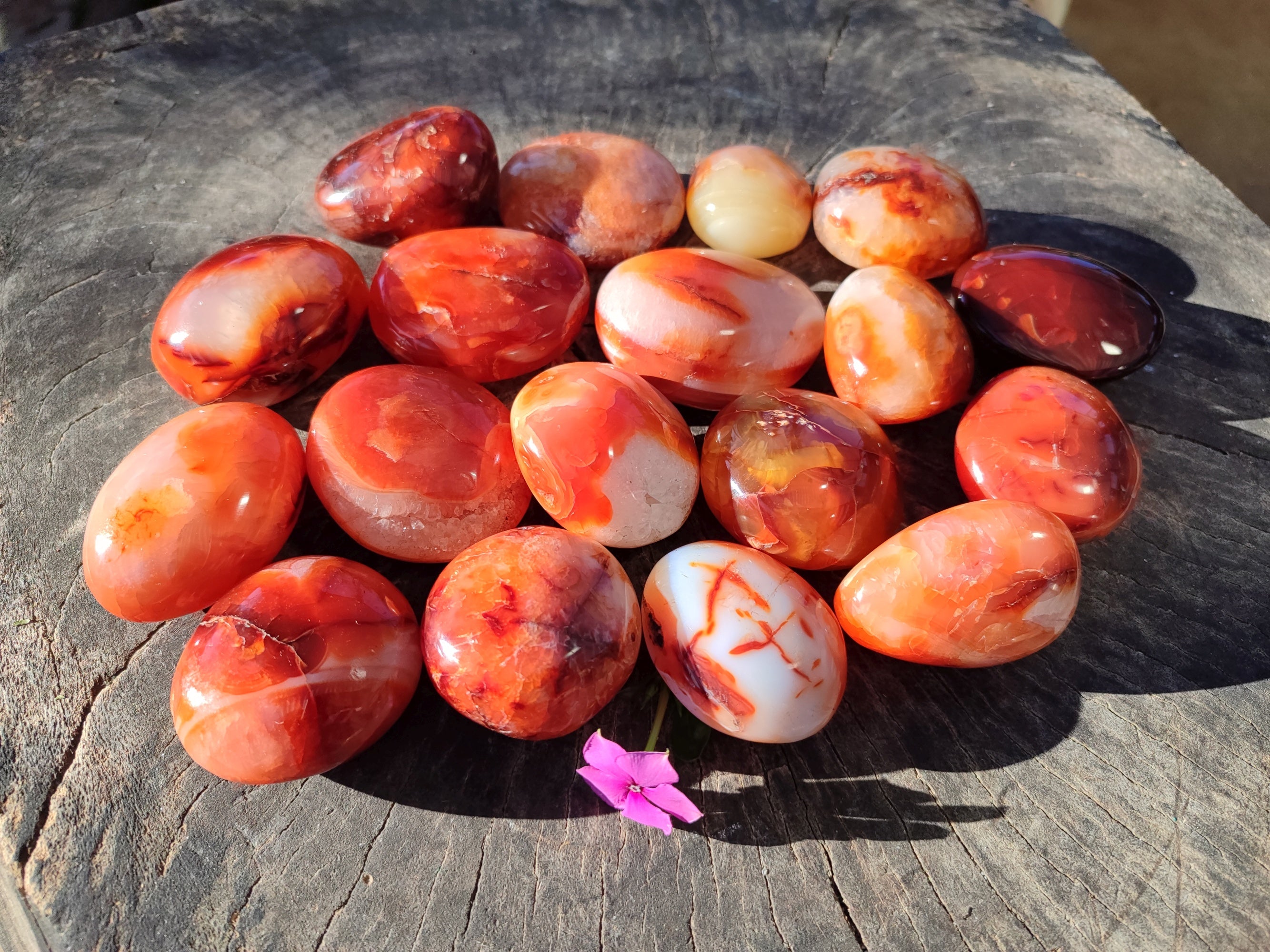 Polished Carnelian Agate Palm Stones x 26 From Madagascar - Toprock Gemstones and Minerals 