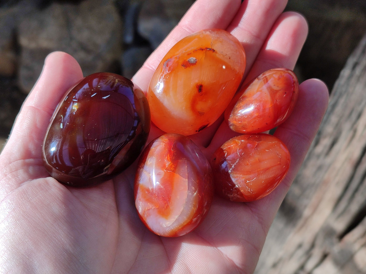 Polished Carnelian Agate Palm Stones x 26 From Madagascar - Toprock Gemstones and Minerals 