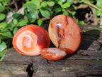 Polished Carnelian Agate Palm Stones x 26 From Madagascar - Toprock Gemstones and Minerals 