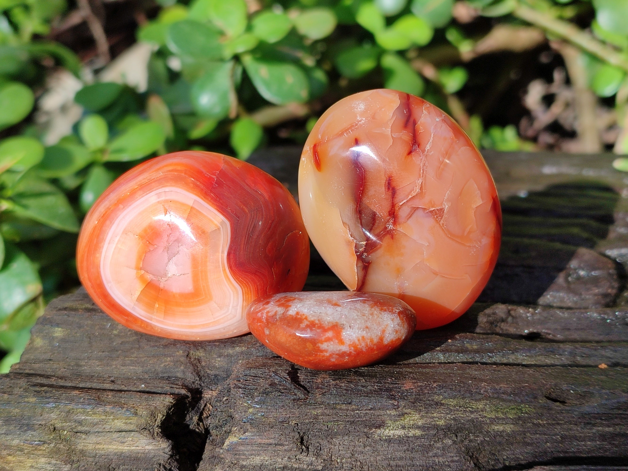 Polished Carnelian Agate Palm Stones x 26 From Madagascar - Toprock Gemstones and Minerals 