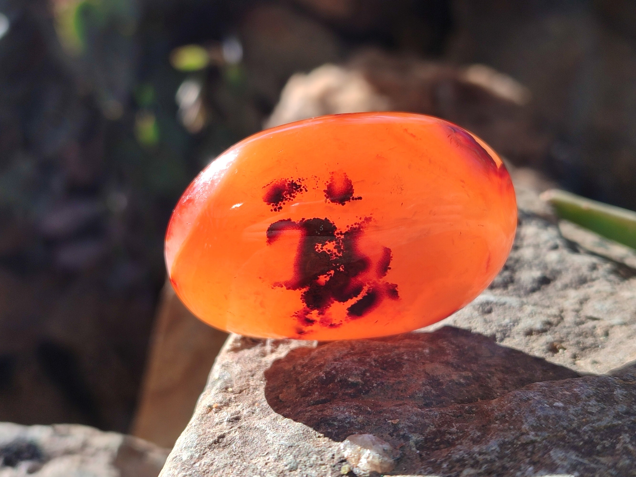 Polished Carnelian Agate Palm Stones x 26 From Madagascar - Toprock Gemstones and Minerals 