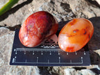 Polished Carnelian Agate Palm Stones x 26 From Madagascar - Toprock Gemstones and Minerals 