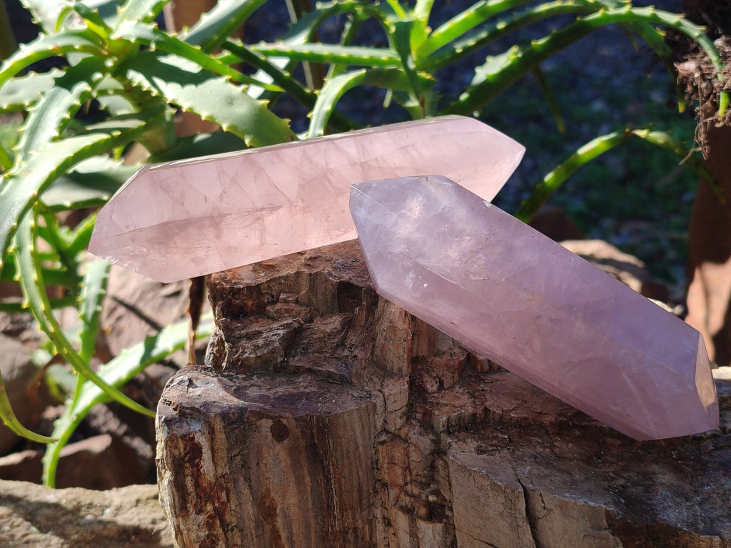 Polished Double Terminated Rose Quartz Points x 4 Ambatondrazaka, Madagascar - Toprock Gemstones and Minerals 