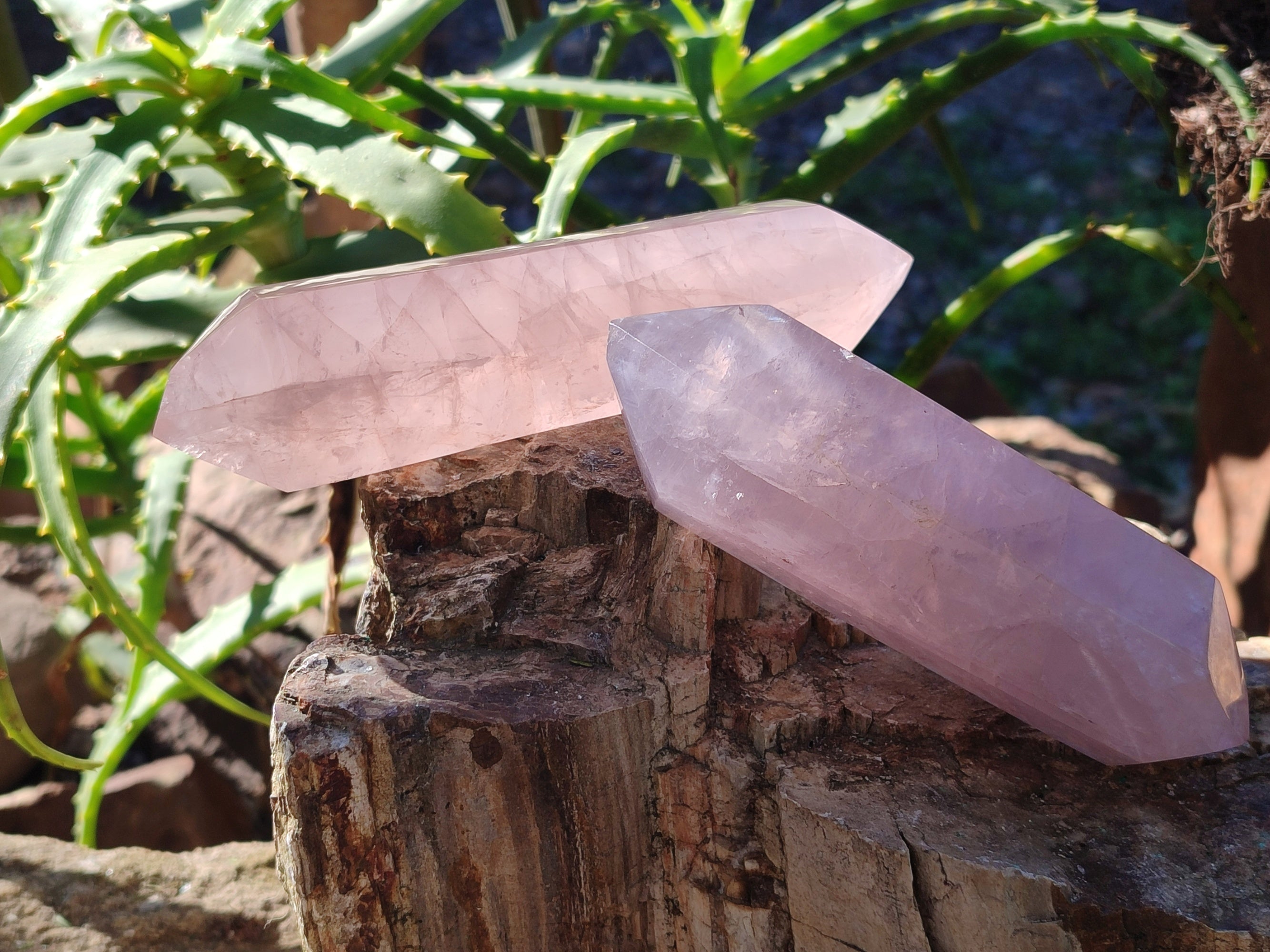 Polished Double Terminated Rose Quartz Points x 4 Ambatondrazaka, Madagascar - Toprock Gemstones and Minerals 