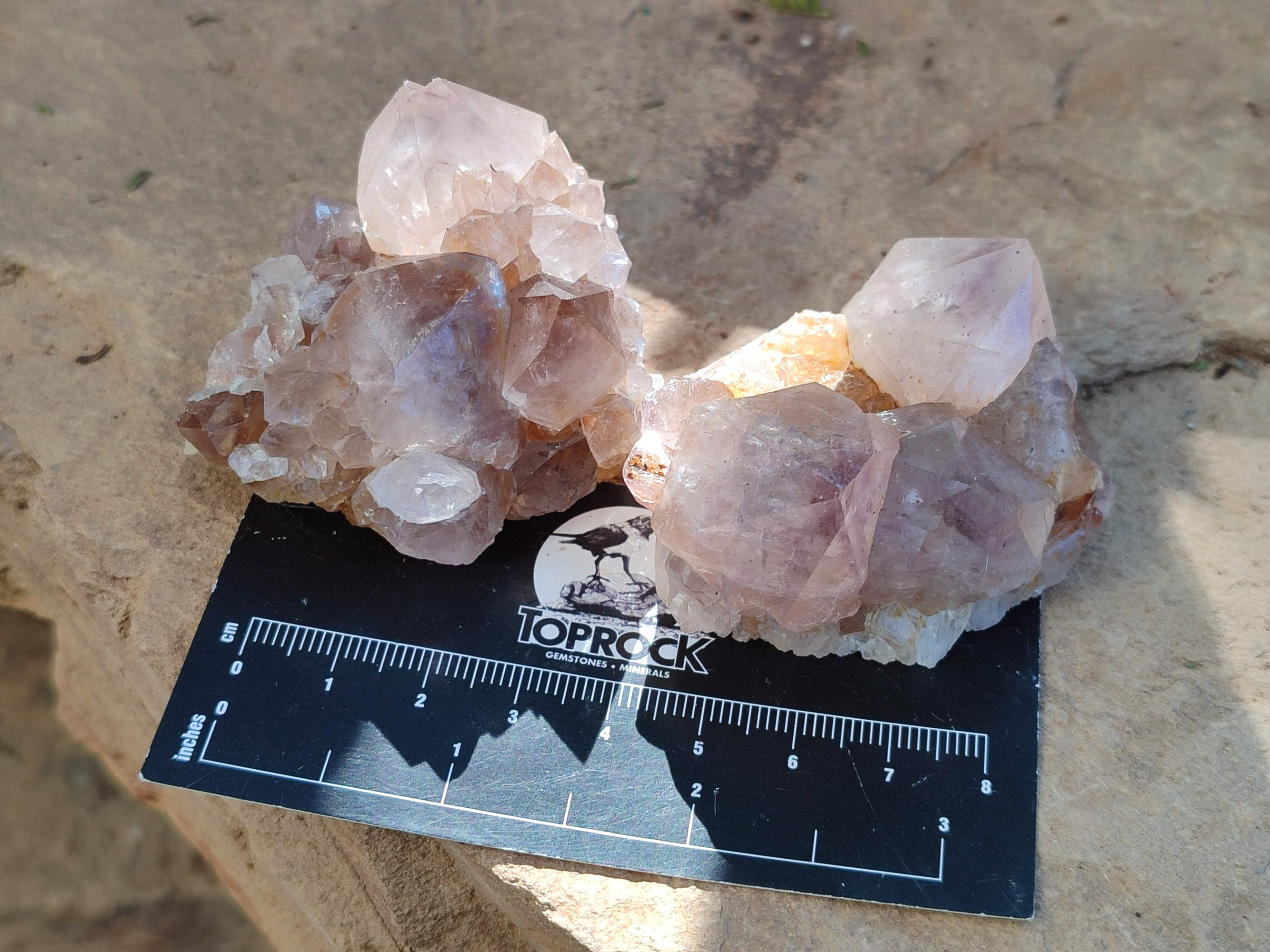Natural Smokey Amethyst Spirit Quartz Clusters x 12 From Boekenhouthoek, South Africa - Toprock Gemstones and Minerals 