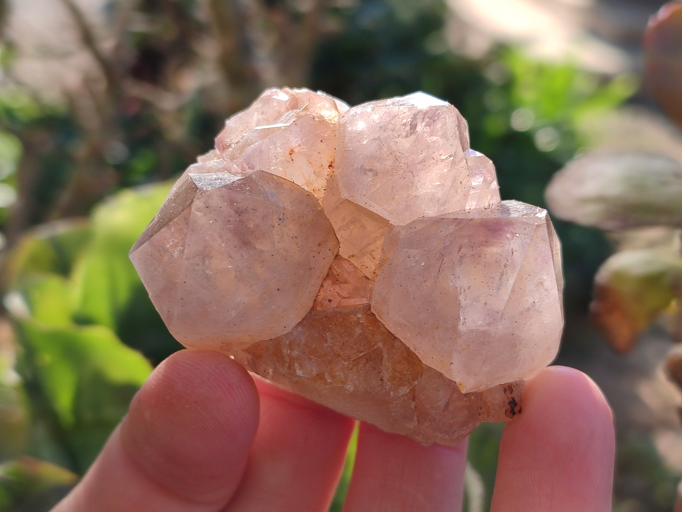 Natural Smokey Amethyst Spirit Quartz Clusters x 12 From Boekenhouthoek, South Africa - Toprock Gemstones and Minerals 