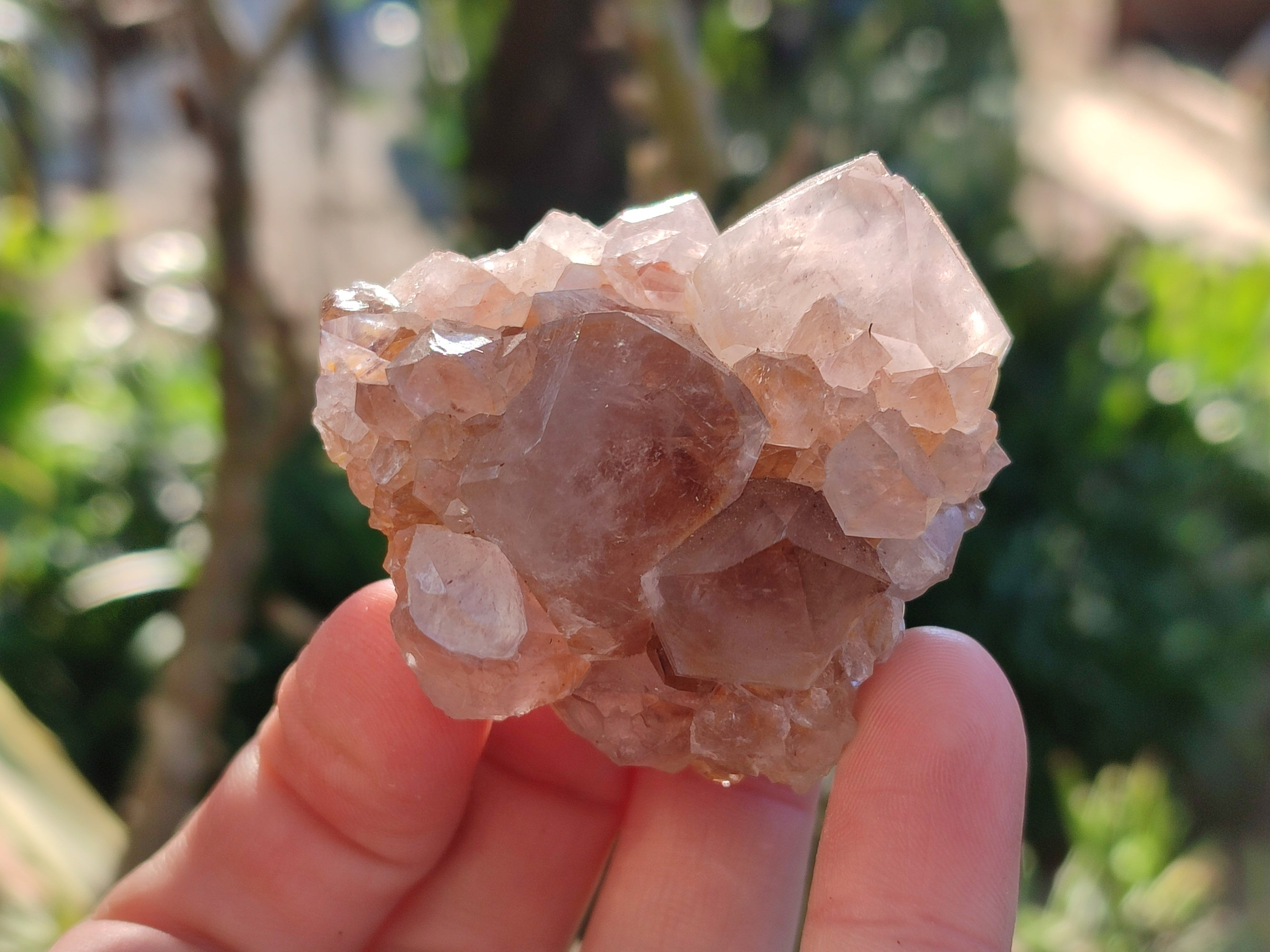 Natural Smokey Amethyst Spirit Quartz Clusters x 12 From Boekenhouthoek, South Africa - Toprock Gemstones and Minerals 