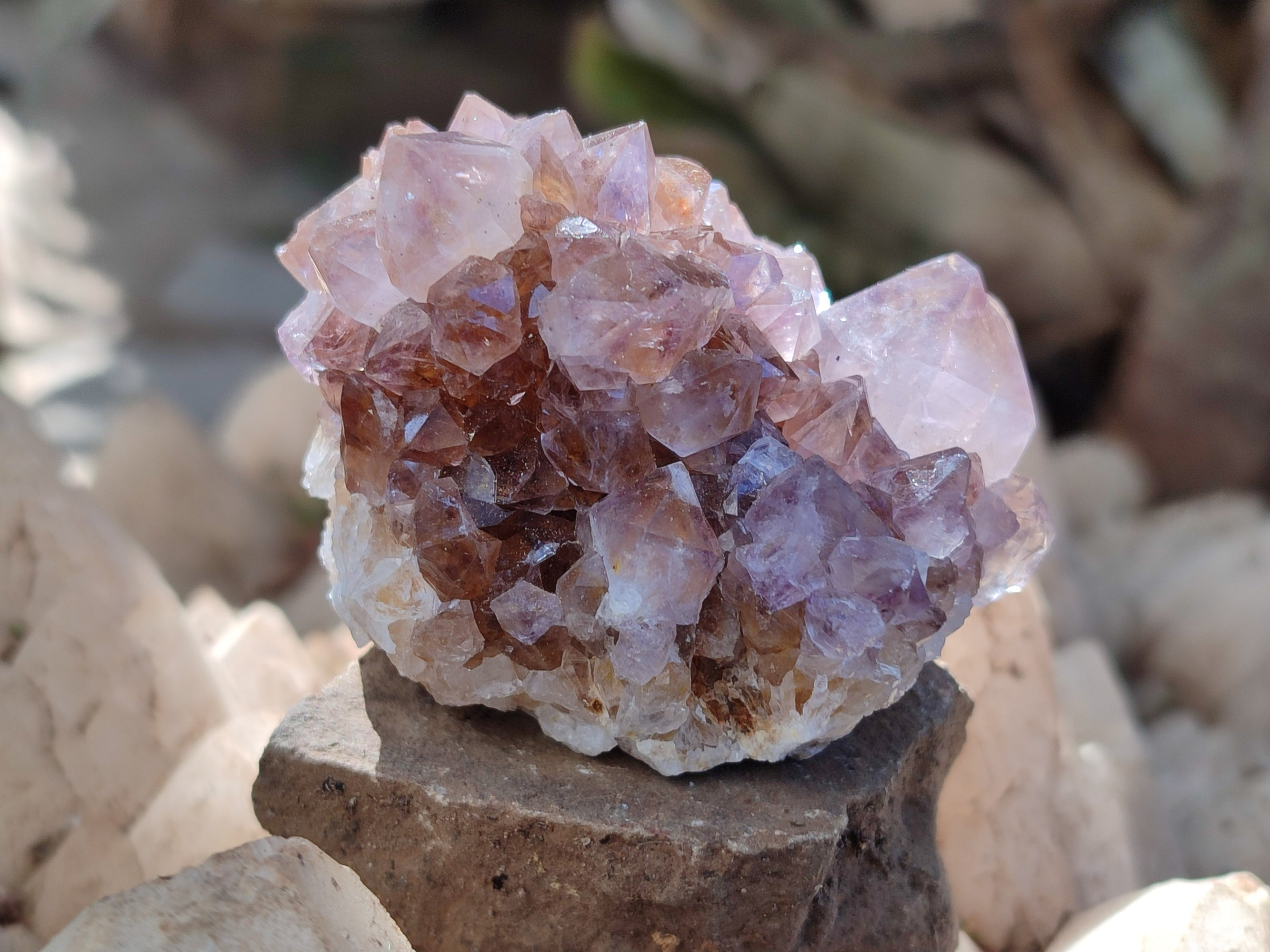 Natural Smokey Amethyst Spirit Quartz Clusters x 12 From Boekenhouthoek, South Africa - Toprock Gemstones and Minerals 