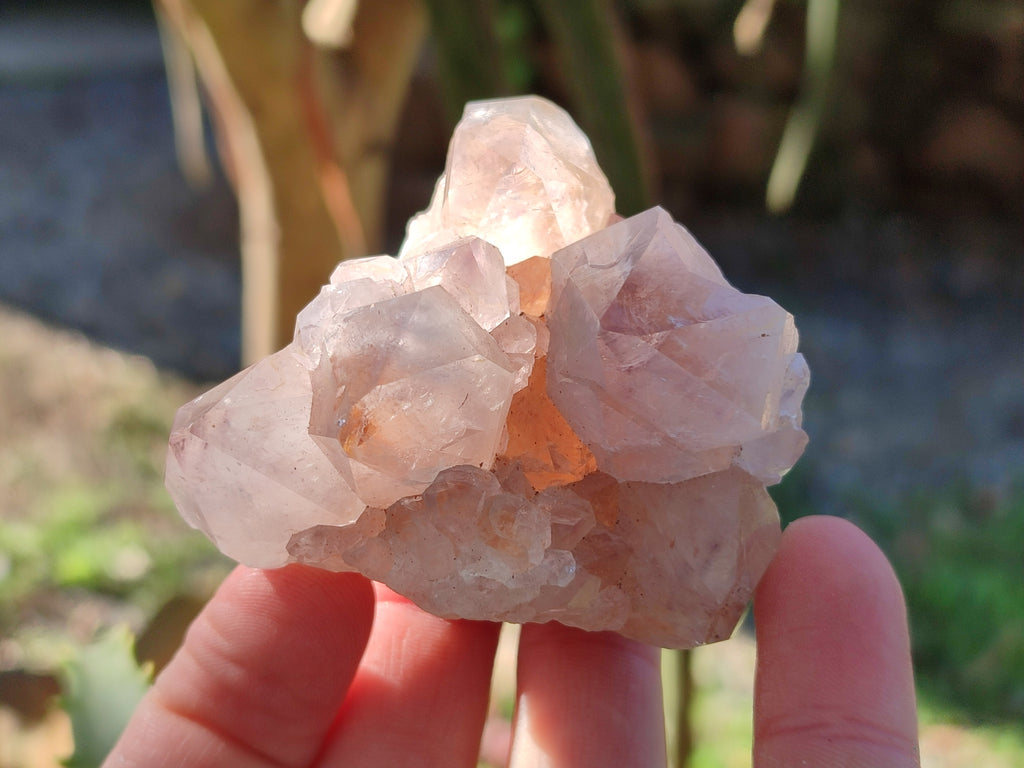 Natural Smokey Amethyst Spirit Quartz Clusters x 12 From Boekenhouthoek, South Africa - Toprock Gemstones and Minerals 