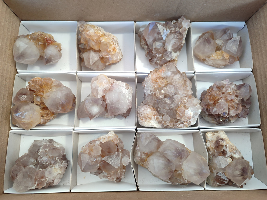 Natural Smokey Amethyst Spirit Quartz Clusters x 12 From Boekenhouthoek, South Africa - Toprock Gemstones and Minerals 