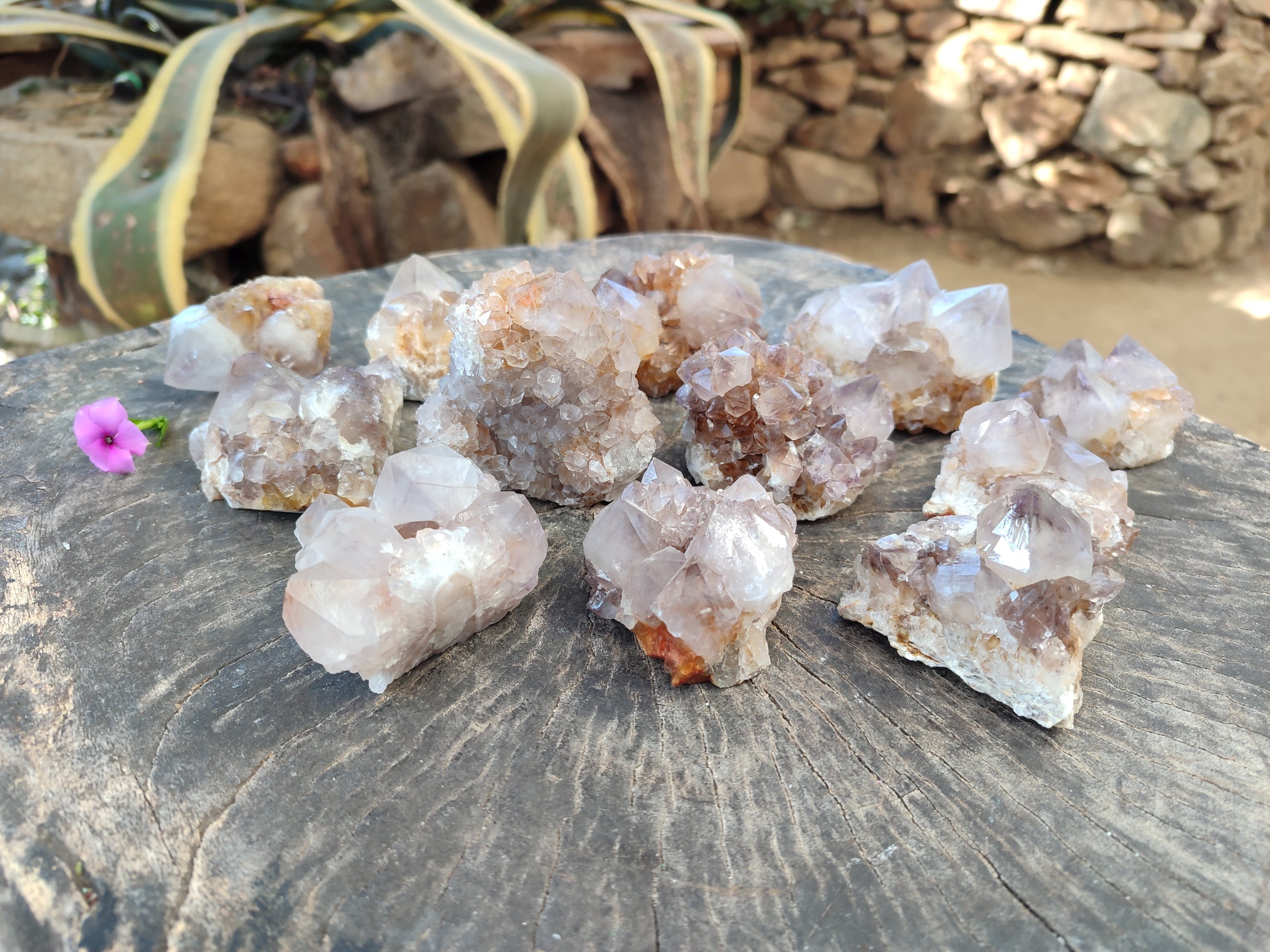 Natural Smokey Amethyst Spirit Quartz Clusters x 12 From Boekenhouthoek, South Africa - Toprock Gemstones and Minerals 