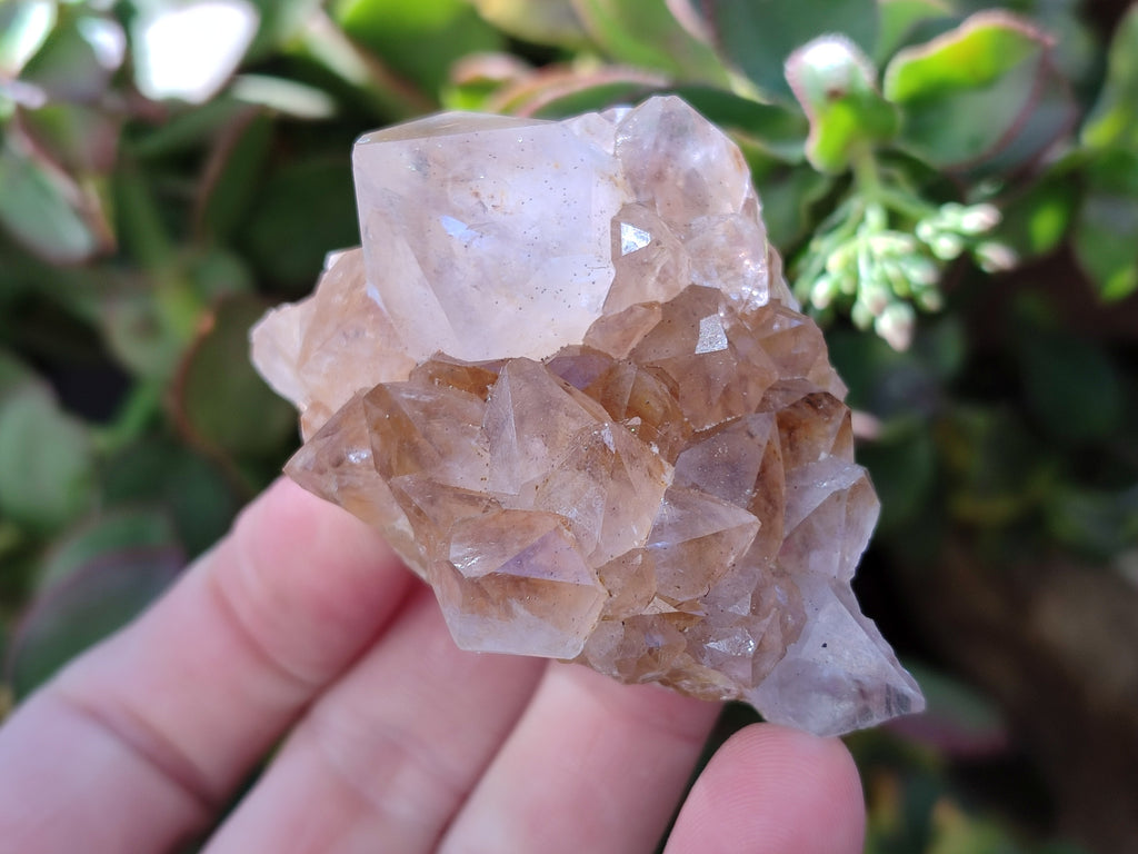 Natural Smokey Amethyst Spirit Quartz Clusters x 12 From Boekenhouthoek, South Africa - Toprock Gemstones and Minerals 