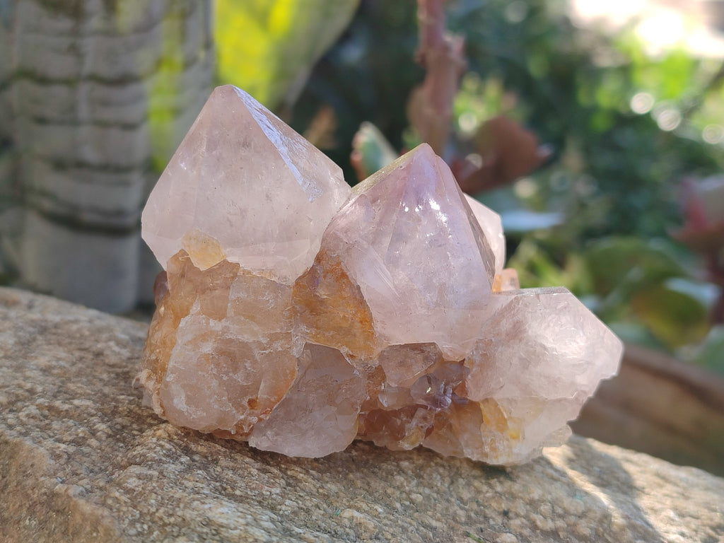 Natural Smokey Amethyst Spirit Quartz Clusters x 12 From Boekenhouthoek, South Africa - Toprock Gemstones and Minerals 