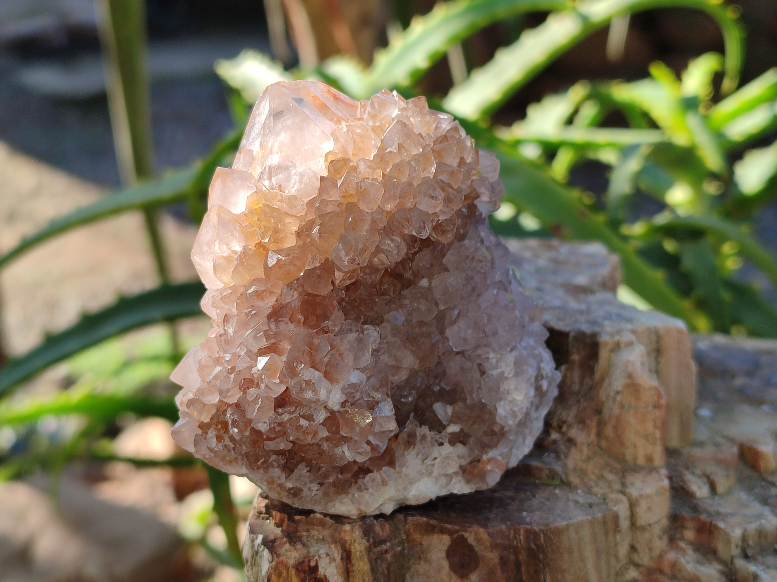 Natural Smokey Amethyst Spirit Quartz Clusters x 12 From Boekenhouthoek, South Africa - Toprock Gemstones and Minerals 