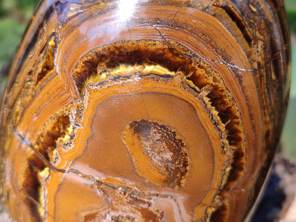 Polished Golden River Tigers Eye Standing Free Forms x 2 From Prieska, South Africa - Toprock Gemstones and Minerals 