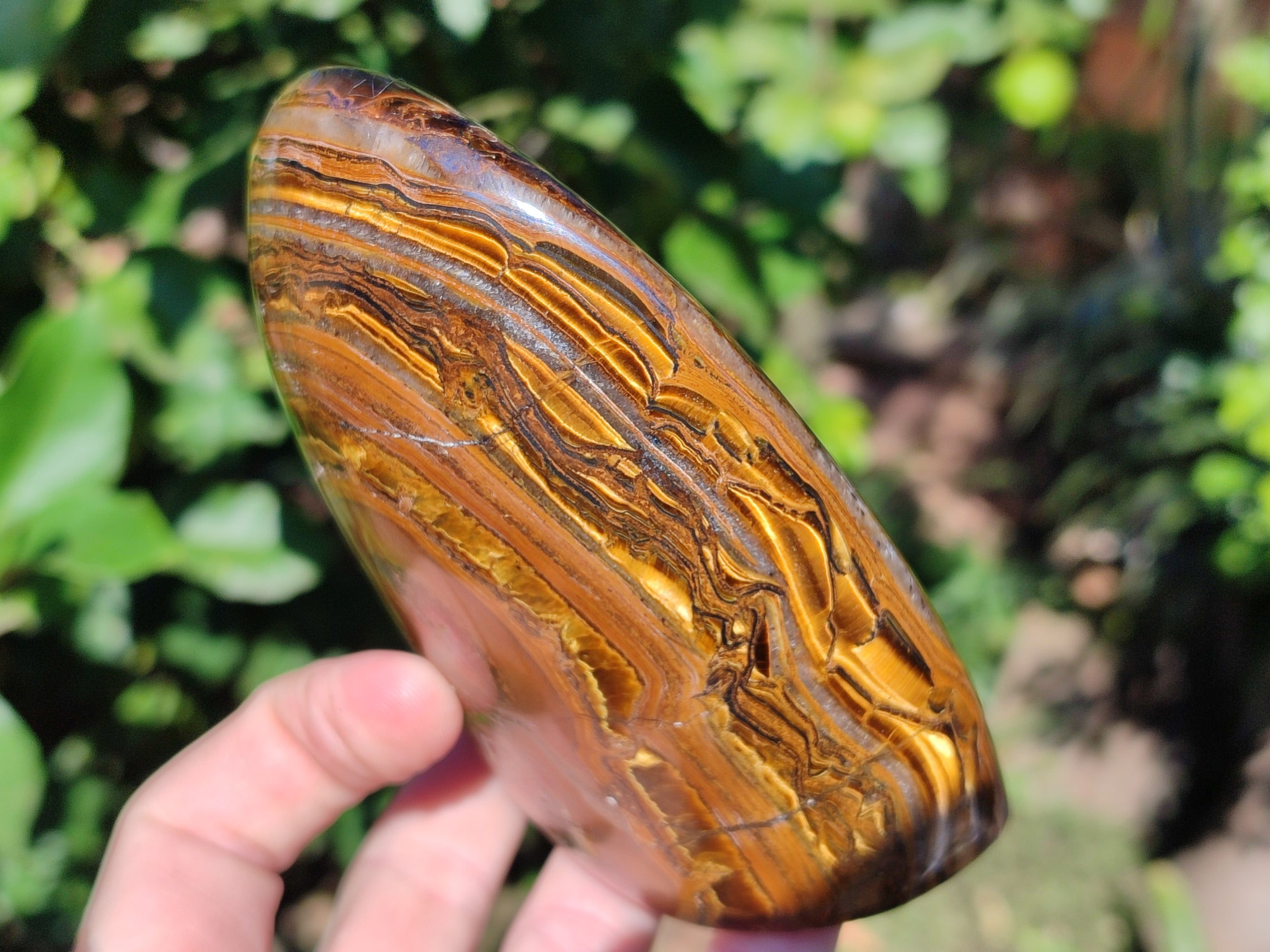 Polished Golden River Tigers Eye Standing Free Forms x 2 From Prieska, South Africa - Toprock Gemstones and Minerals 