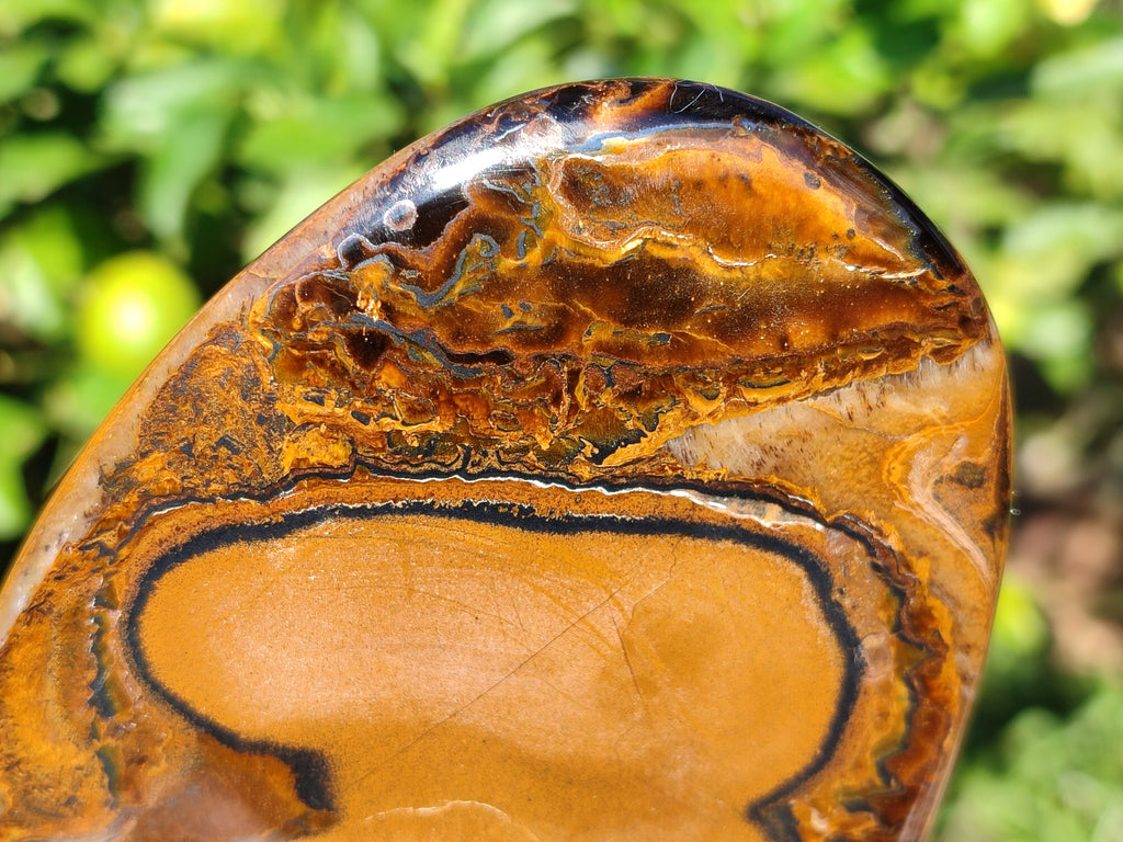 Polished Golden River Tigers Eye Standing Free Forms x 2 From Prieska, South Africa - Toprock Gemstones and Minerals 