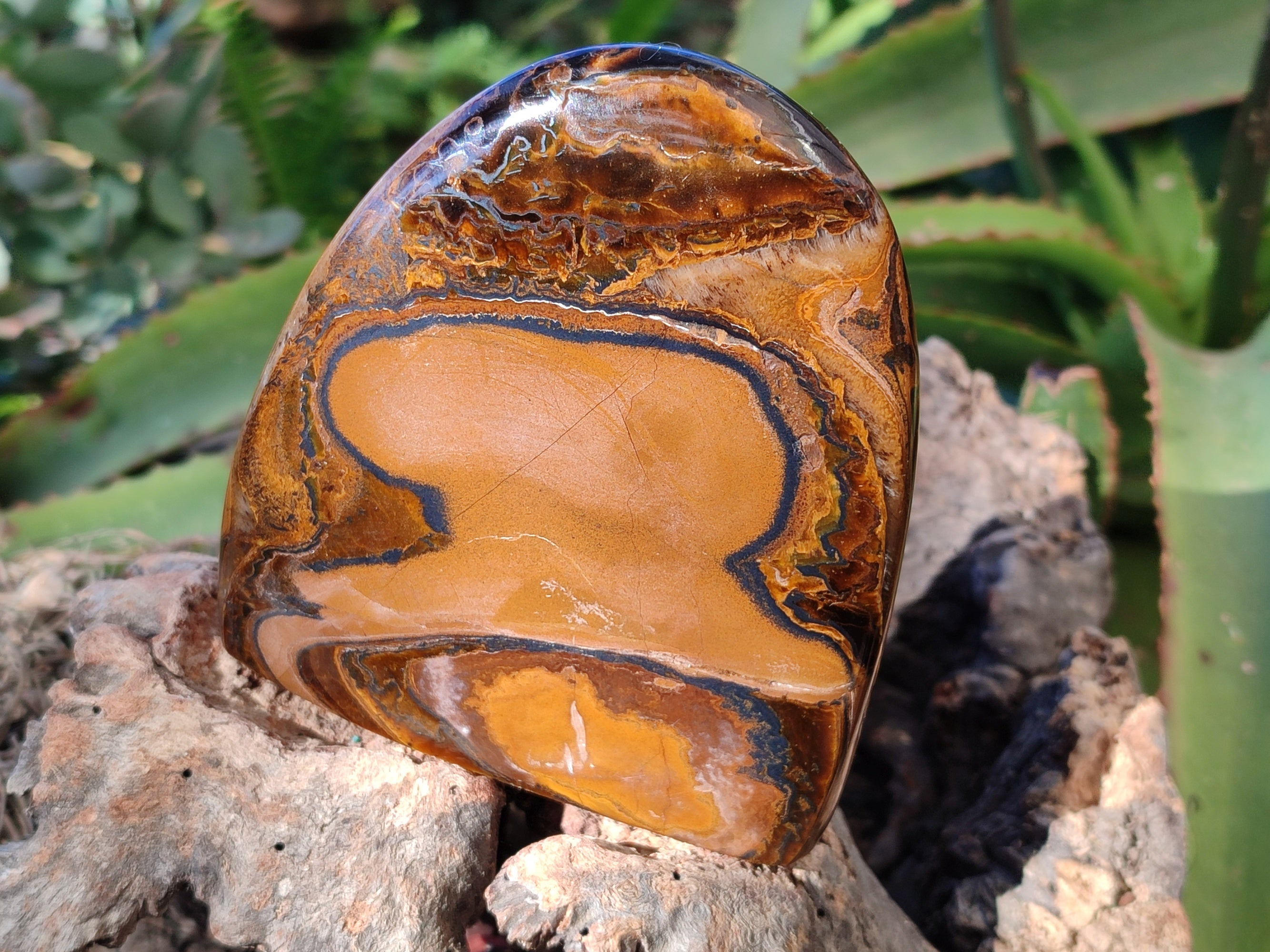 Polished Golden River Tigers Eye Standing Free Forms x 2 From Prieska, South Africa - Toprock Gemstones and Minerals 