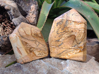 Polished Picture Stone Jasper Points x 2 From Ais-Ais, Namibia - Toprock Gemstones and Minerals 