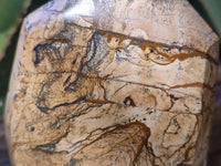 Polished Picture Stone Jasper Points x 2 From Ais-Ais, Namibia - Toprock Gemstones and Minerals 