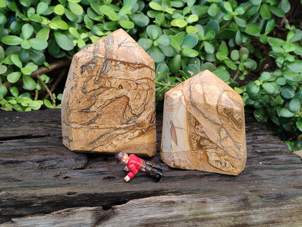 Polished Picture Stone Jasper Points x 2 From Ais-Ais, Namibia